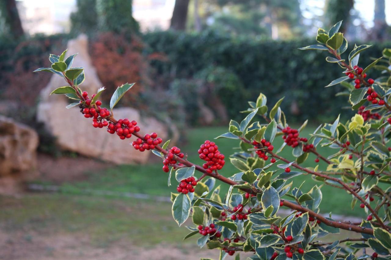 Hostal Del Senglar Espluga de Francolí Εξωτερικό φωτογραφία